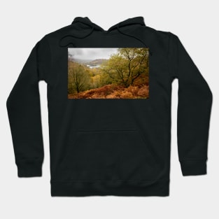 Autumn around Rydal Water Hoodie